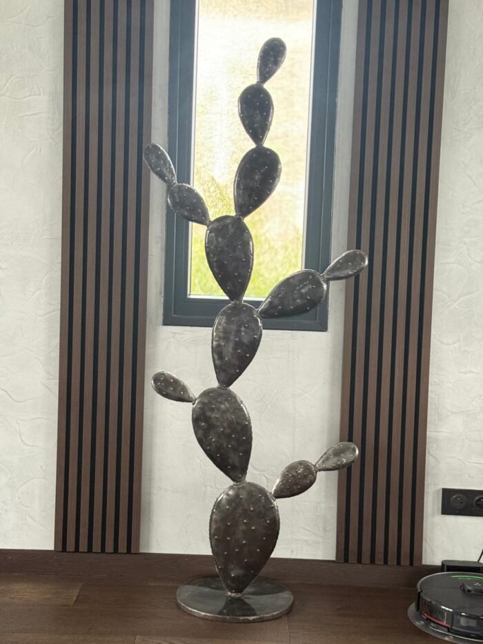 Cactus éternel – Image 4